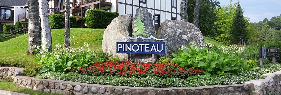 Photo-sign