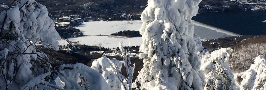 winter scene